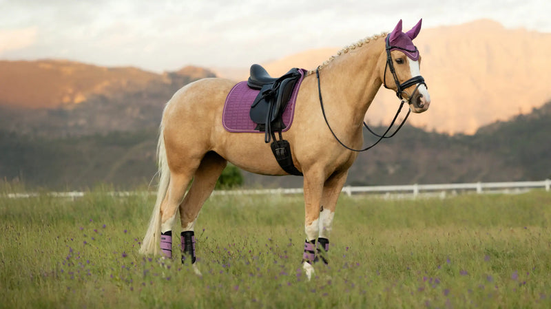 LeMieux Suede Dressage Saddle Pad Mallow - Vision Saddlery