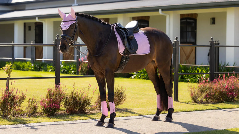 Lemieux Essence Dressage Square Large - Fondant - Vision Saddlery