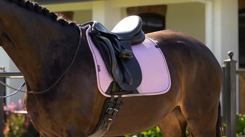 Lemieux Essence Dressage Square Large - Fondant - Vision Saddlery