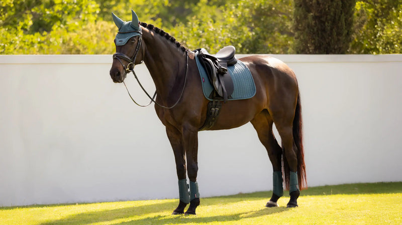 LeMieux Essence Dressage Saddle Pad- Jungle - Vision Saddlery