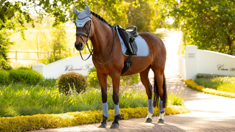 Lemieux Essence Dressage Square Large - Powder Blue - Vision Saddlery
