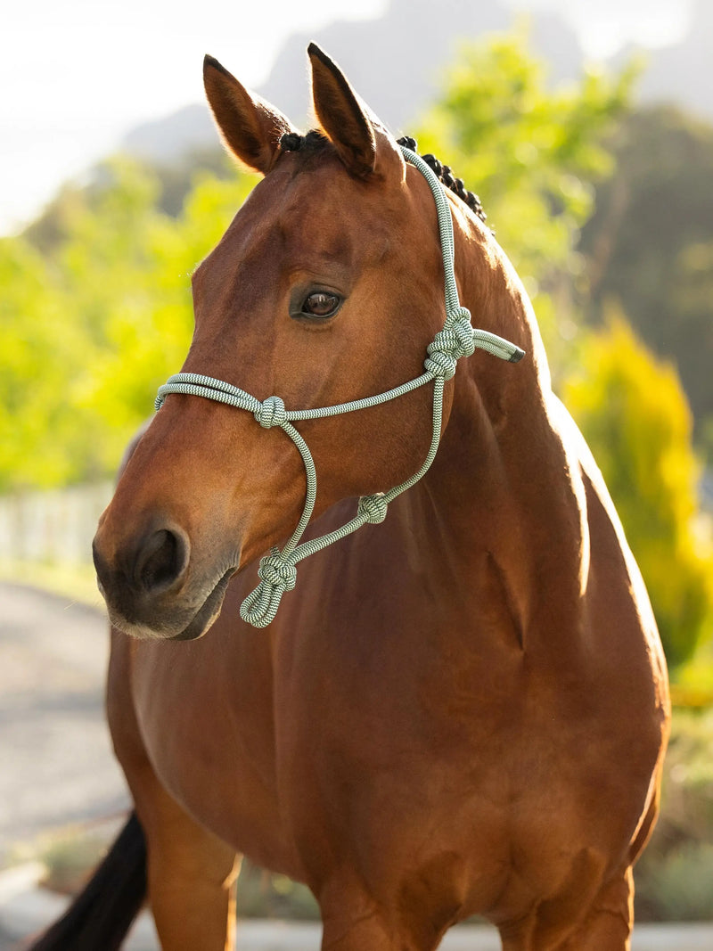 Lemieux Rope Halter - 2 Colours - Vision Saddlery