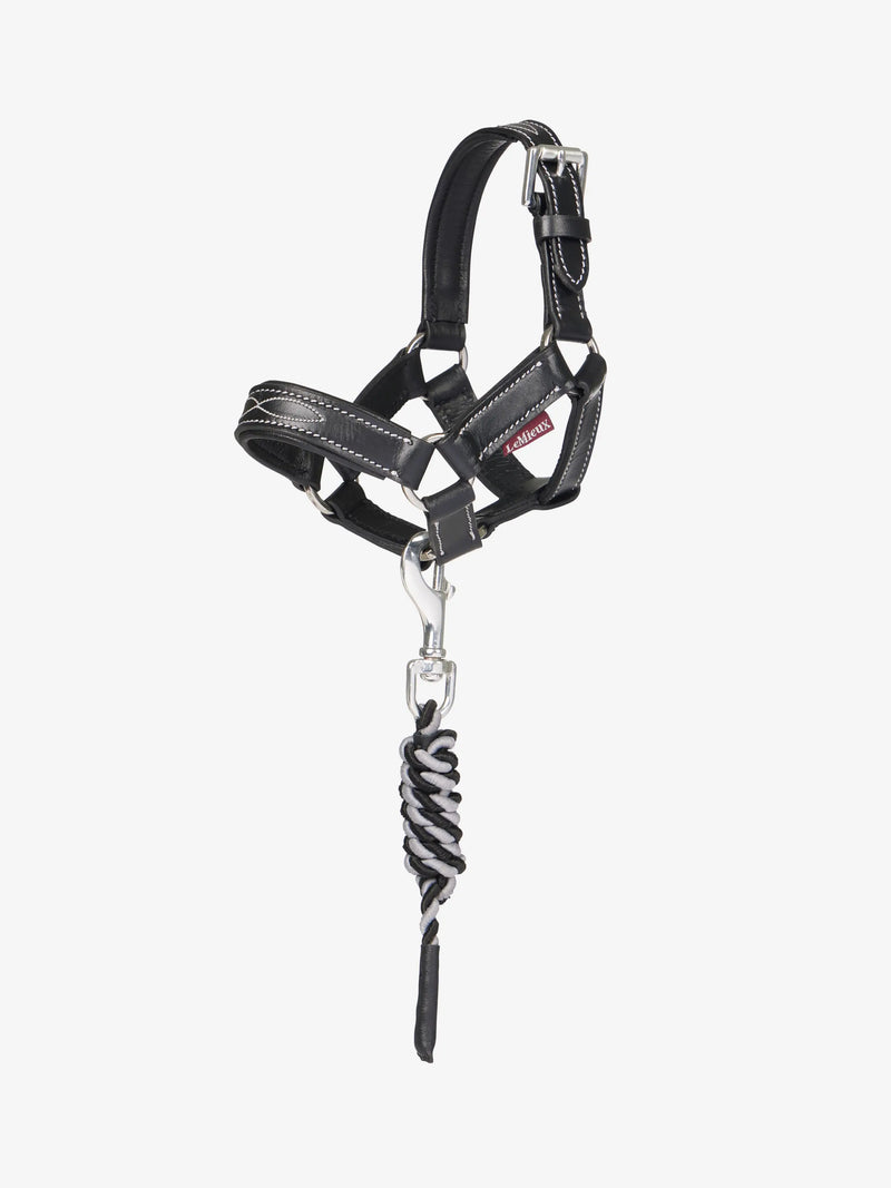 LeMieux Toy Pony Leather Halter & Leadrope - Vision Saddlery