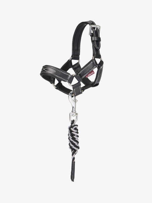 LeMieux Toy Pony Leather Halter & Leadrope - Vision Saddlery