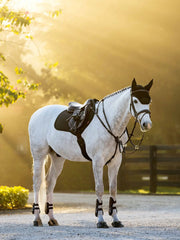 Lemieux Brilliance Close Contact Square Black - Vision Saddlery
