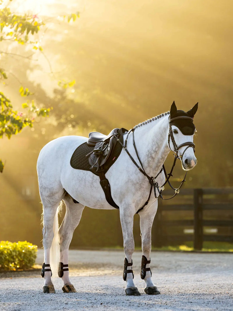 Lemieux Brilliance Close Contact Square Black - Vision Saddlery
