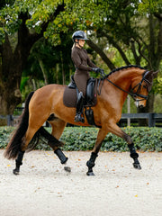 Lemieux Brilliance Dressage Pad Square Espresso - Vision Saddlery
