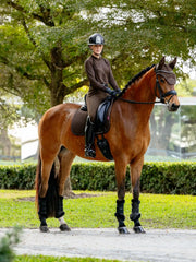 Lemieux Brilliance Dressage Pad Square Espresso - Vision Saddlery