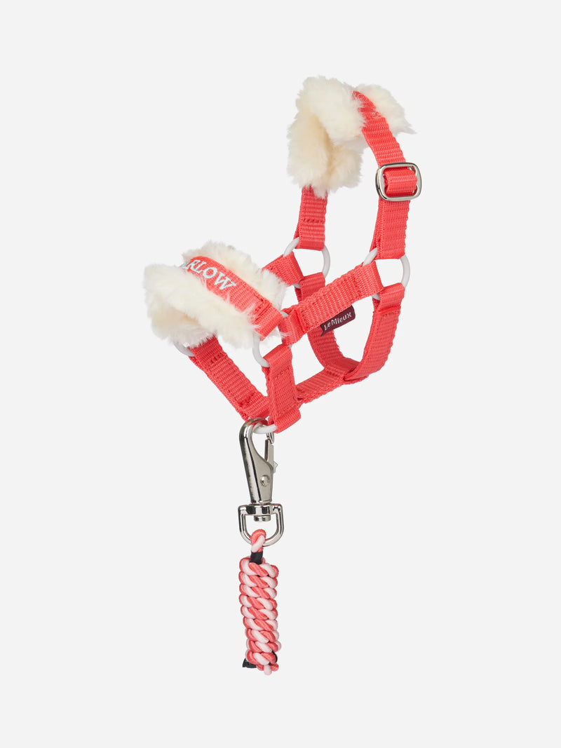 LeMieux Toy Pony Vogue Headcollar - VARIOUS COLOURS - Vision Saddlery