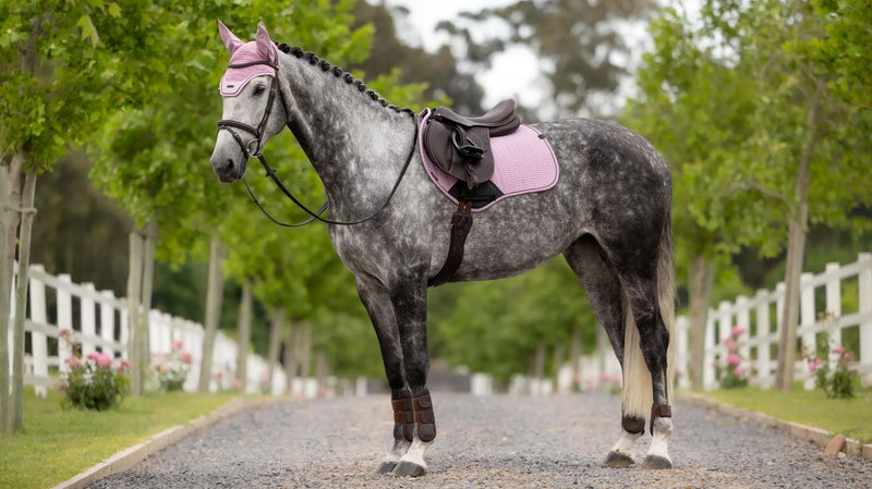 Lemieux Essence Close Contact Square Pad - Fondant - Vision Saddlery