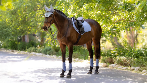 Lemieux Essence Close Contact Square Pad - Powder Blue - Vision Saddlery