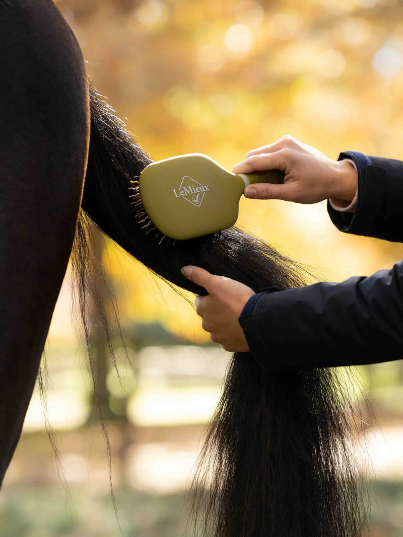 LeMieux Tangle Tidy Brush - Various Colours