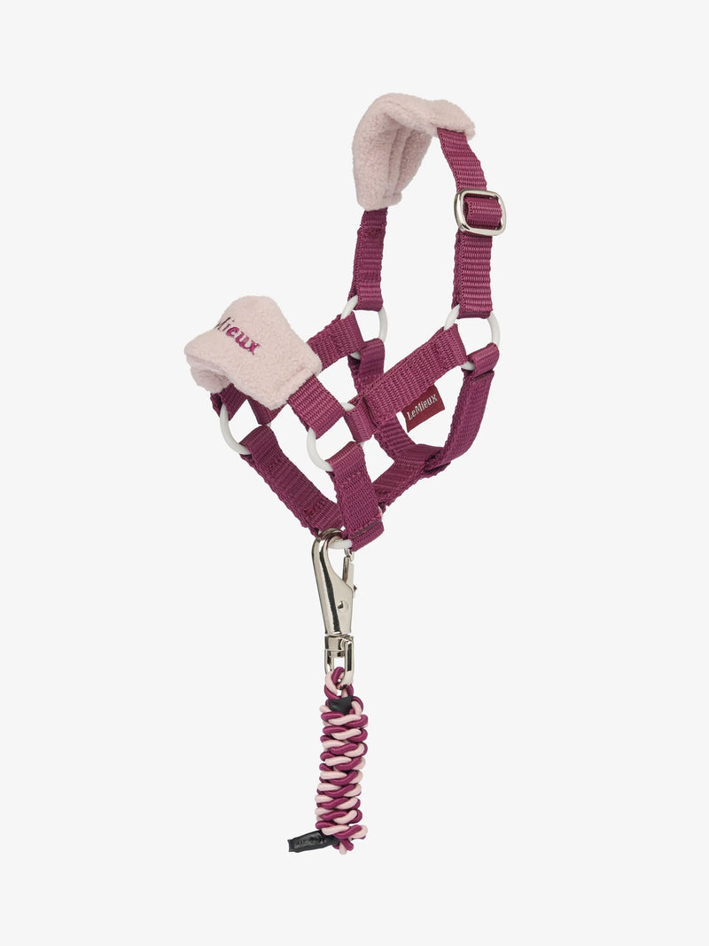 LeMieux Toy Pony Vogue Headcollar - VARIOUS COLOURS