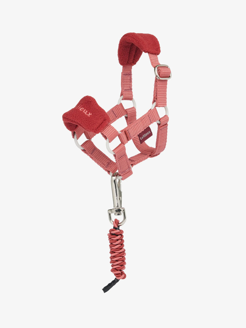 LeMieux Toy Pony Vogue Headcollar - VARIOUS COLOURS
