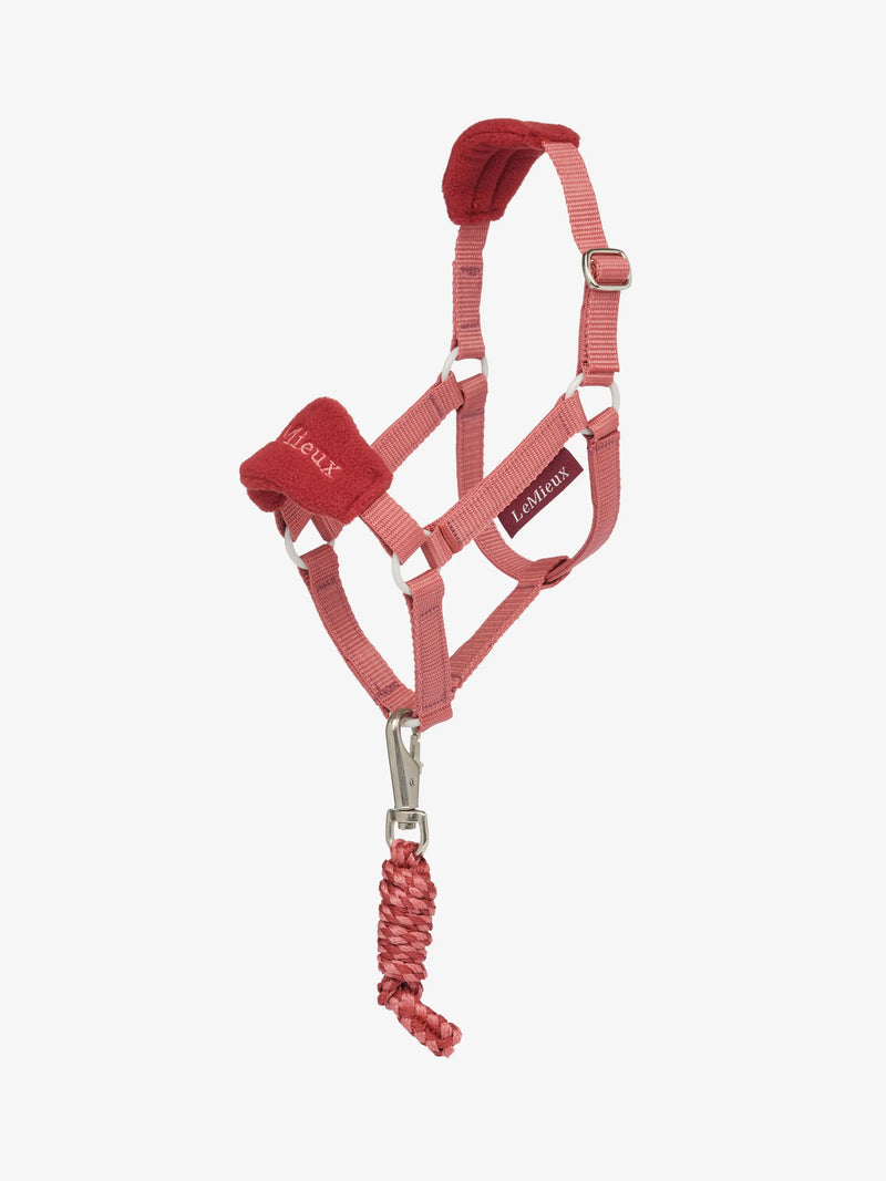 LeMieux Hobby Horse Vogue Headcollar & Leadrope