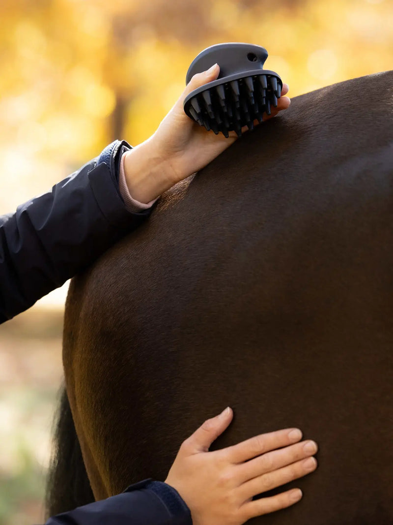 Lemieux Massage Brush Navy