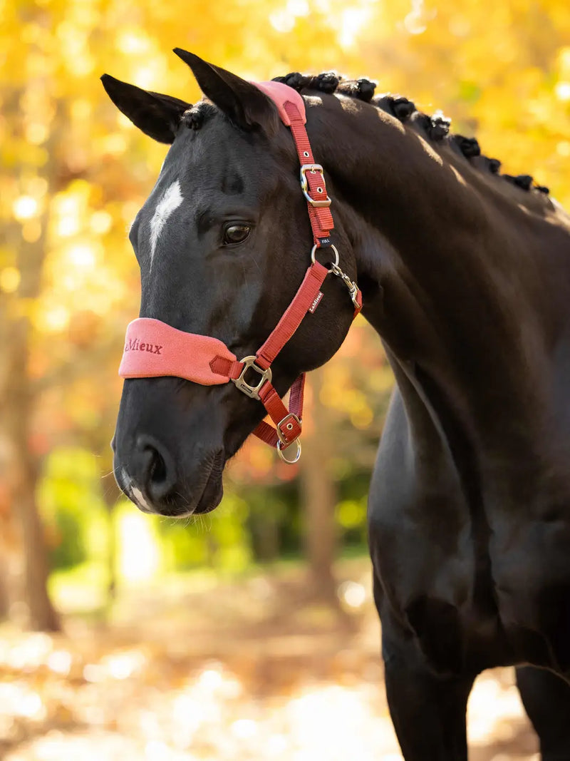 LeMieux Vogue Headcollar & Leadrope- Russet