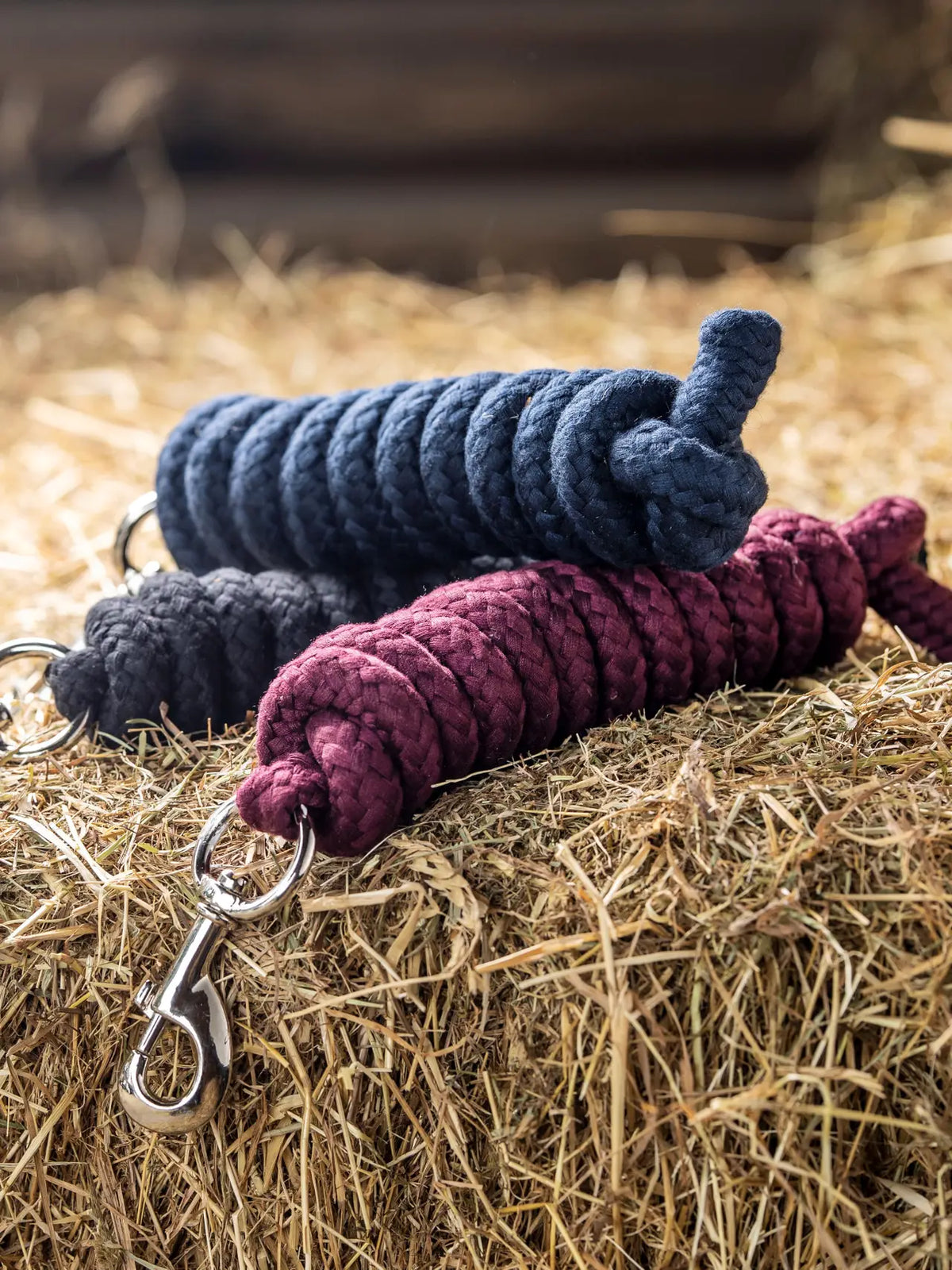 Lemieux Cotton Leadrope Various Colors — Vision Saddlery
