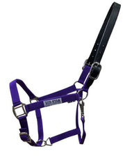 Nylon Breakaway Halter - Vision Saddlery