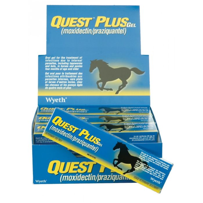 Ger-Ryan Quest Plus Gel wormer for livestock, featuring a clear syringe with gel medication for deworming animals.