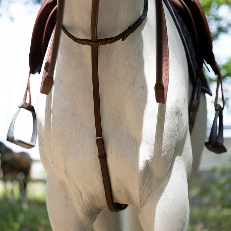 Antares Origin Standing Martingale