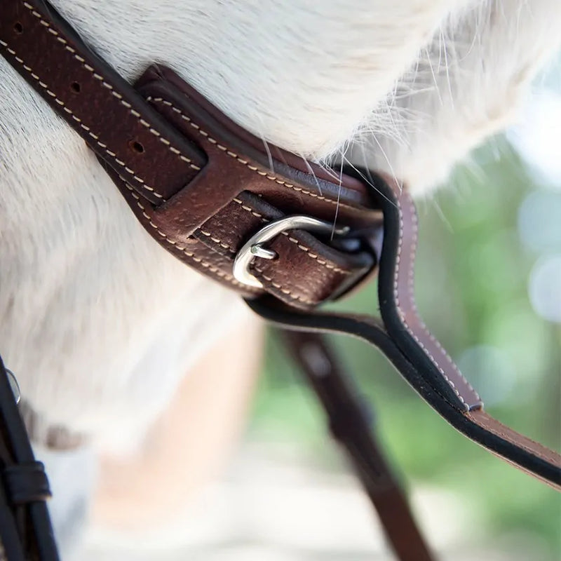 Antares Origin Standing Martingale