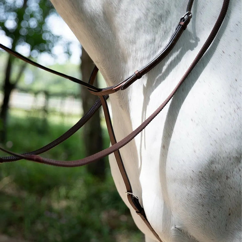 Antares Origin Standing Martingale