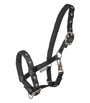 Waldhausen Comfort Foal Halter - BLACK - Vision Saddlery