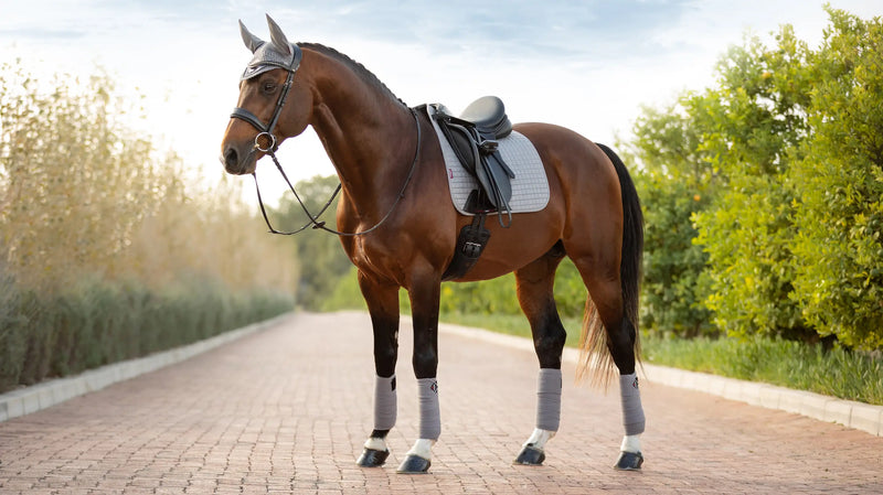 *CLEARANCE* LeMieux Suede Dressage Saddle Pad Grey