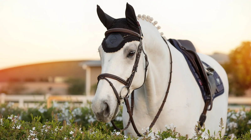 *CLEARANCE* Lemieux Elite Fly Hood Black