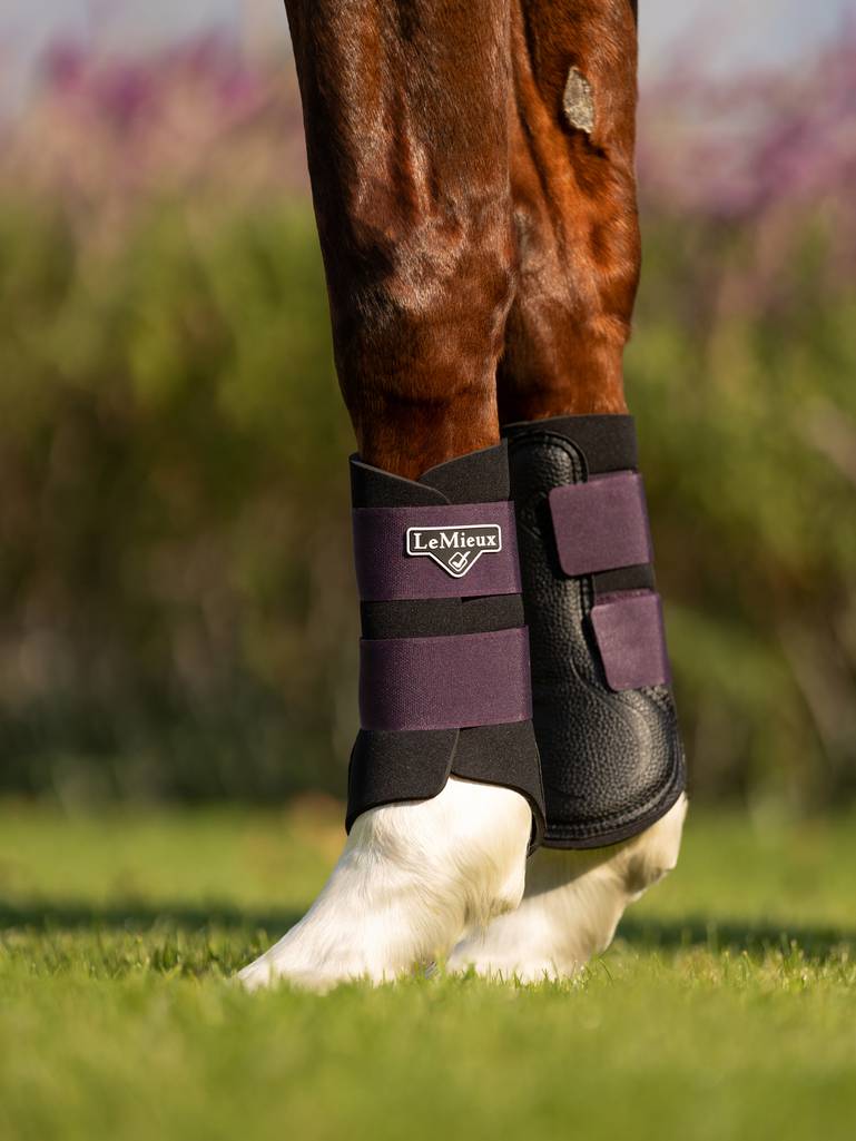 LeMieux Grafter Brushing Boot - FIG - Vision Saddlery