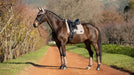 LeMieux RHONE Dressage Saddle Pad - PROSECCO - Vision Saddlery