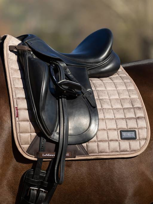 LeMieux RHONE Dressage Saddle Pad - PROSECCO - Vision Saddlery