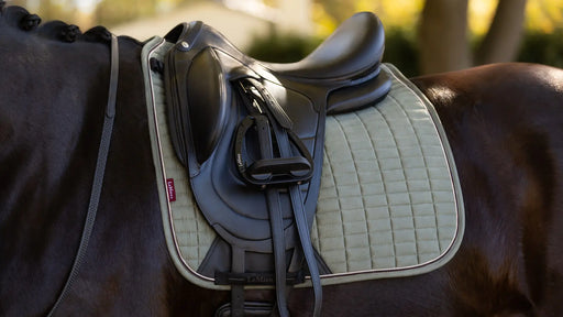 LeMieux Suede Dressage Saddle Pad - AW 2025 Colors - Vision Saddlery