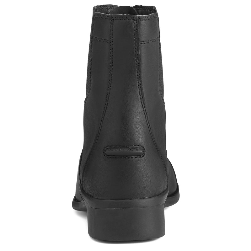 Ariat Scout Zip Paddock Boot - Vision Saddlery