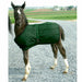 Foal Blanket - Vision Saddlery