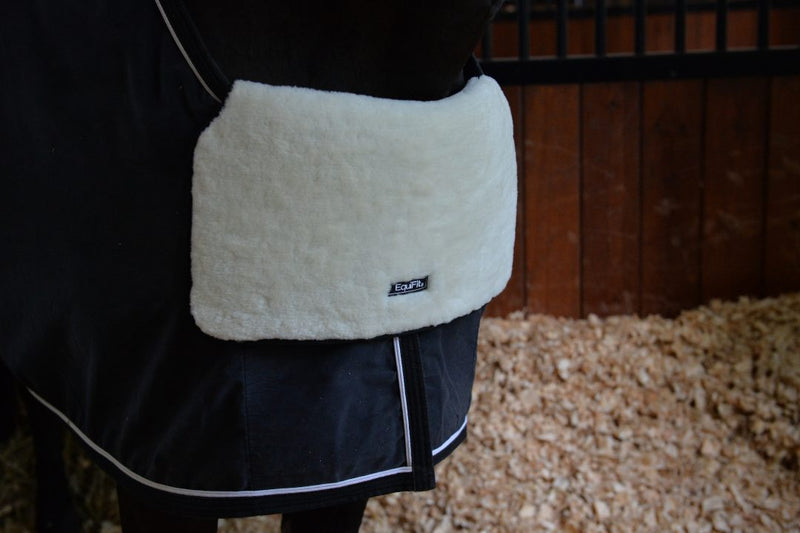 EquiFit BlanketBib - Vision Saddlery