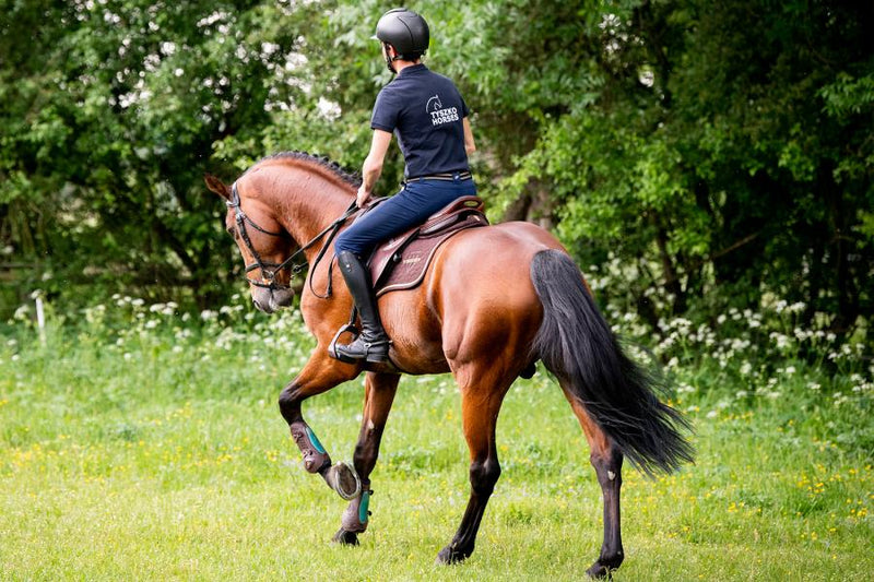 Winderen Comfort Jump Half Pad - 18mm - Vision Saddlery