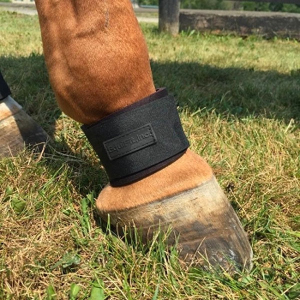 EquiFit Pastern Wrap - Vision Saddlery