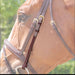 Dy'on Cheek Pieces - Vision Saddlery
