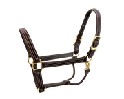 Walsh British Halter - Vision Saddlery