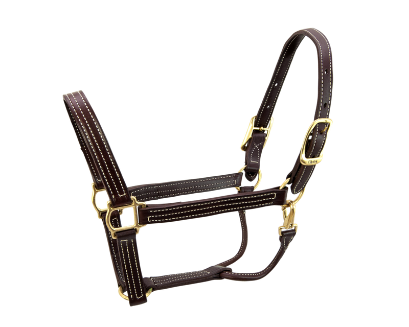 Walsh British Halter - Vision Saddlery