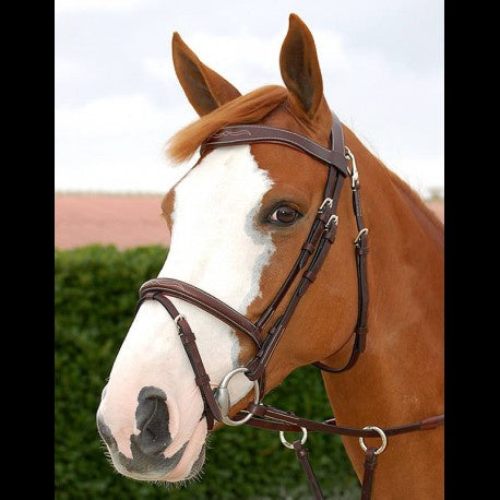 Dy'on Working Collection Fancy Flash Bridle - Vision Saddlery