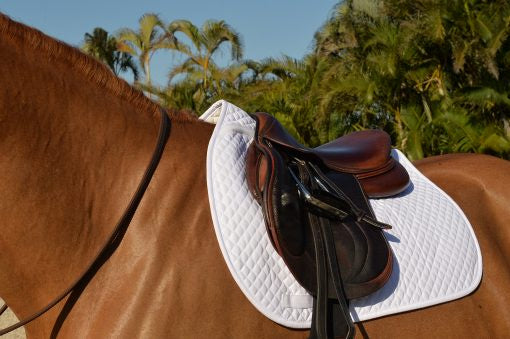 EquiFit Essential Square Pad - Vision Saddlery