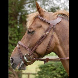 Dy'on Difference Flash Noseband Bridle - Vision Saddlery