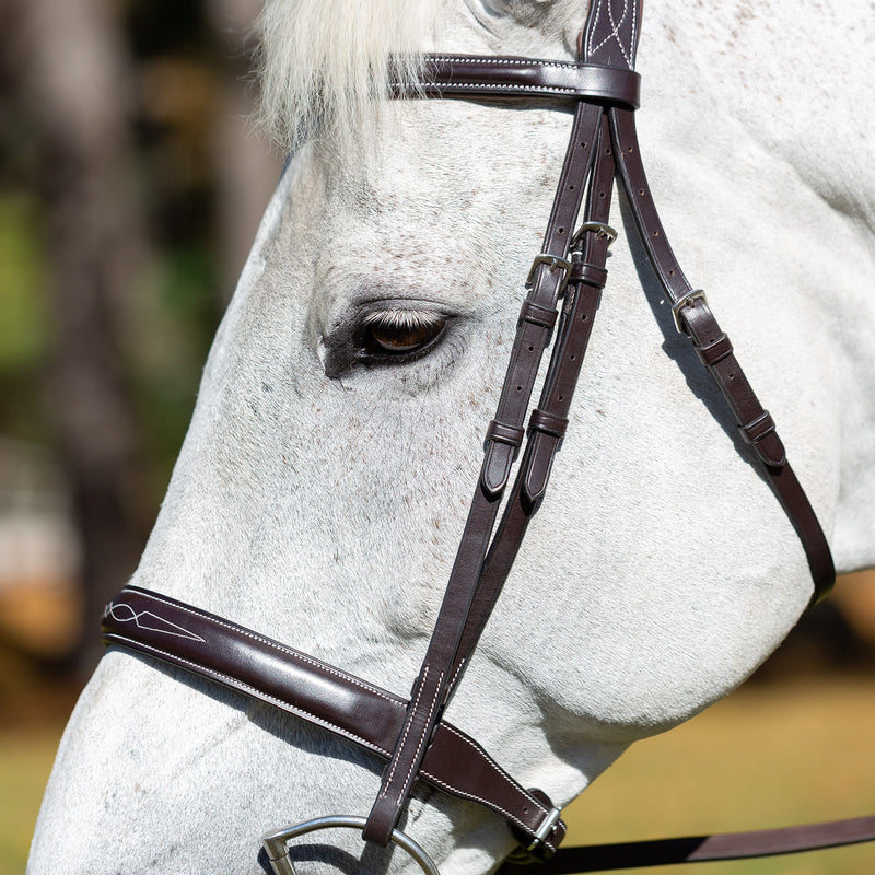 Equinavia Valkyrie Wide Noseband Hunter Bridle with Reins - Vision Saddlery