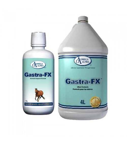 Omega Alpha Gastra-FX - Vision Saddlery