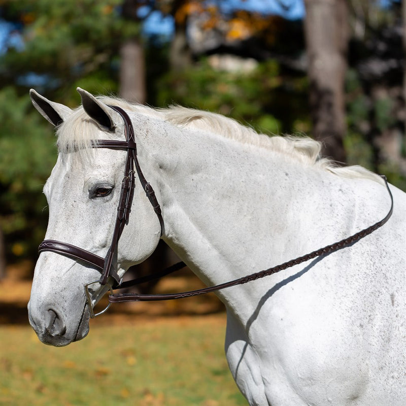 Equinavia Valkyrie Wide Noseband Hunter Bridle with Reins - Vision Saddlery