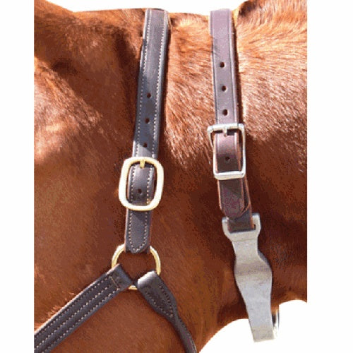 Leather Cribbing Collar - Vision Saddlery