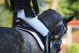 Winderen Comfort Dressage Half Pad - 18mm - Vision Saddlery
